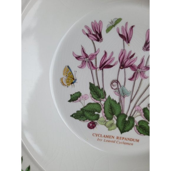 Portmeirion Botanic Gardens AS IS Ivy Leaved Cyclamen 8" soup salad bowl‎ - Picture 7 of 10